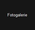 Fotogalerie